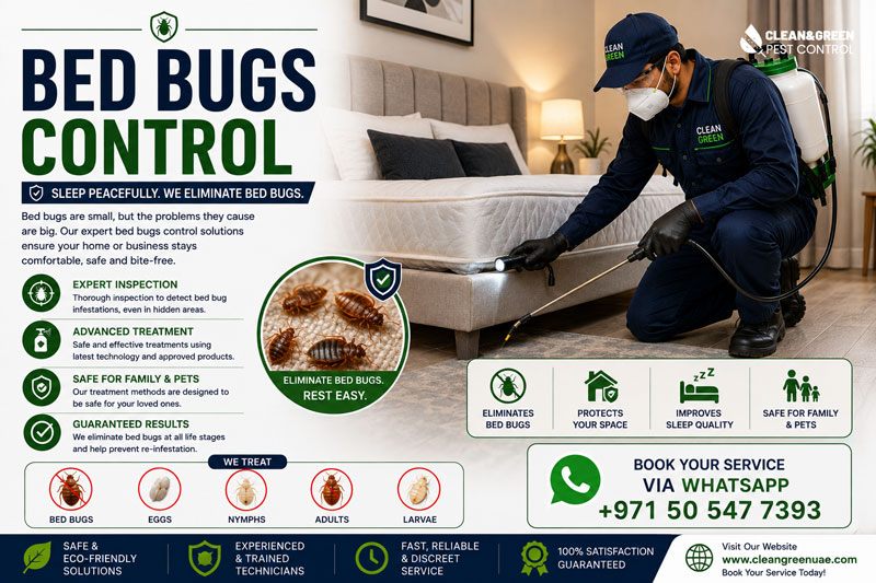 Bed bug exterminator treating a bedroom in Dubai