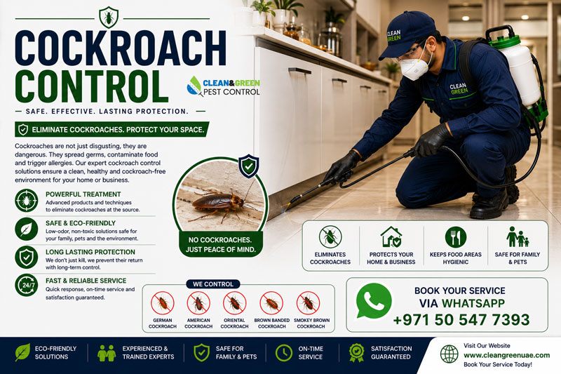 Cockroach gel baiting applied behind kitchen units in Dubai