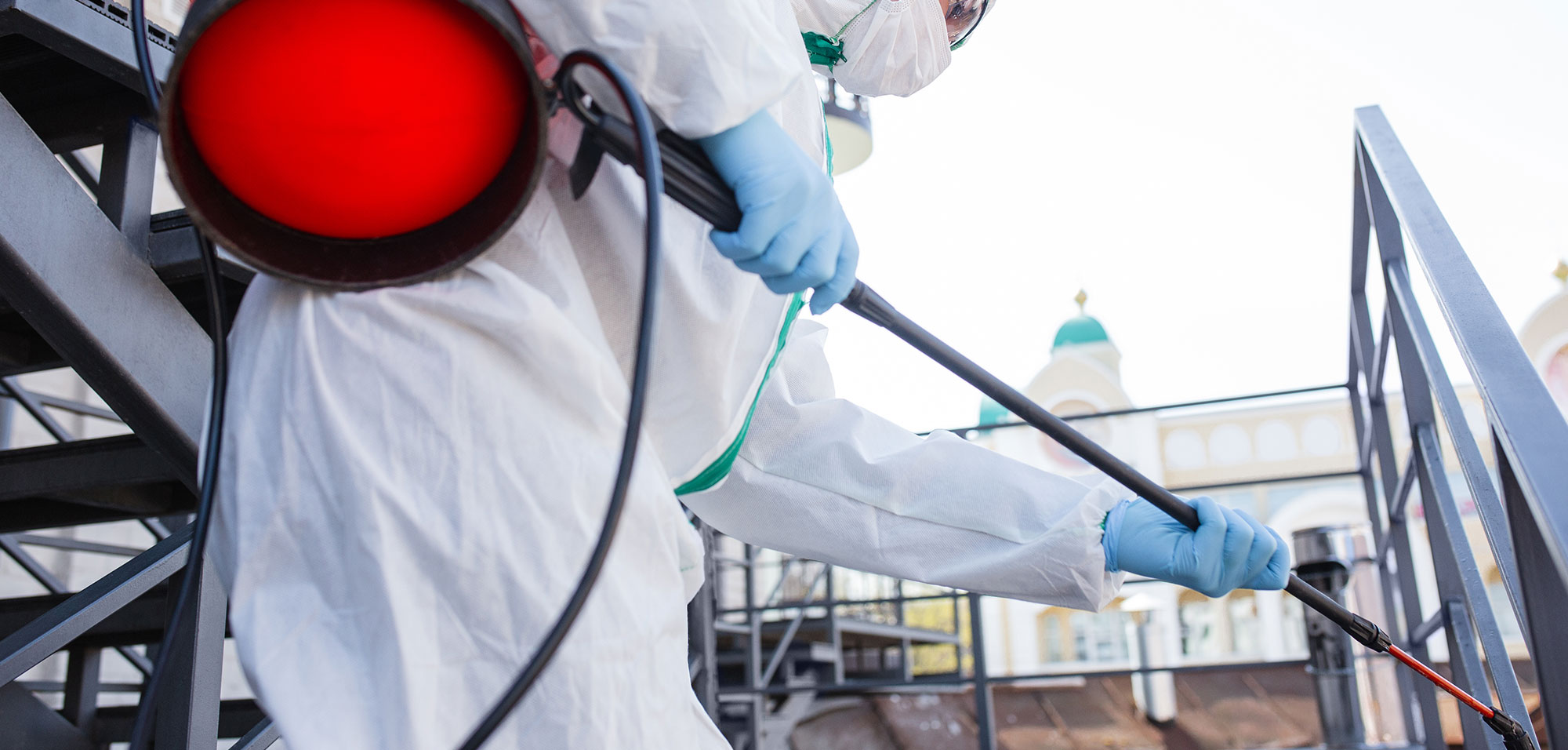 CG Pest Control Dubai pest control experts in Dubai — commercial and residential services