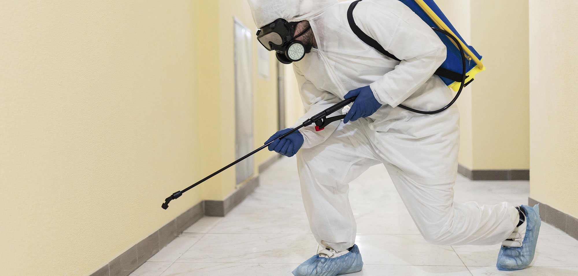Affordable pest control services in Dubai for commercial and residential properties