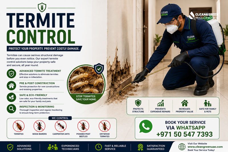 Anti-termite soil barrier being injected around a property in Dubai