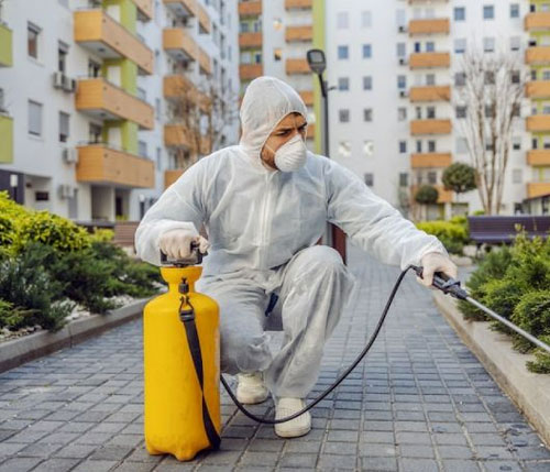 Pest control Dubai