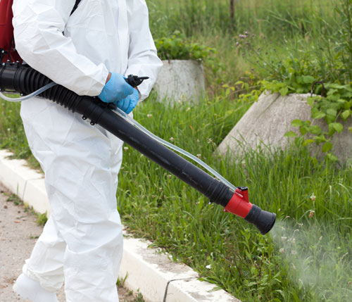 Mosquito Control Service Sharjah